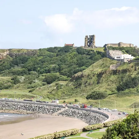 Chestnut * Scarborough