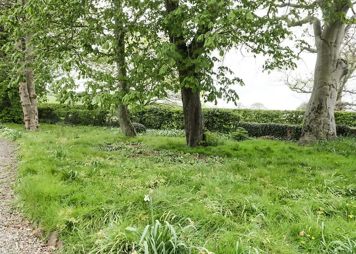 Chestnut Scarborough